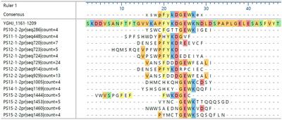 Glycosylation of bacterial antigens changes epitope patterns